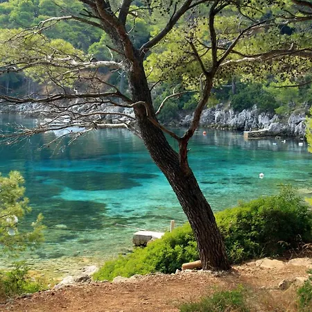 By The Sea Ubli, - 16599 Appartement