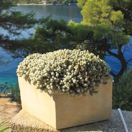 By The Sea Ubli, - 16599