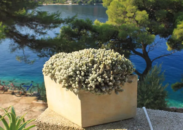 By The Sea Ubli, - 16599